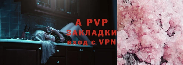 тгк Володарск