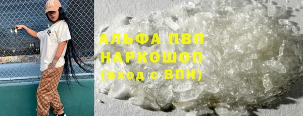 стафф Вязьма