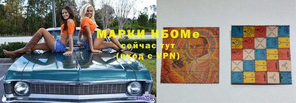 стафф Вязьма