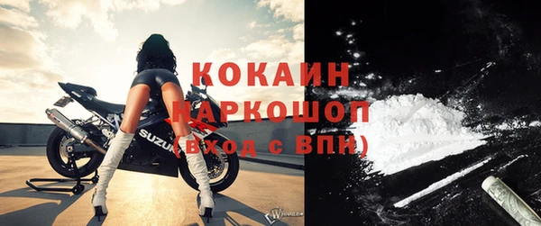 стафф Вязьма